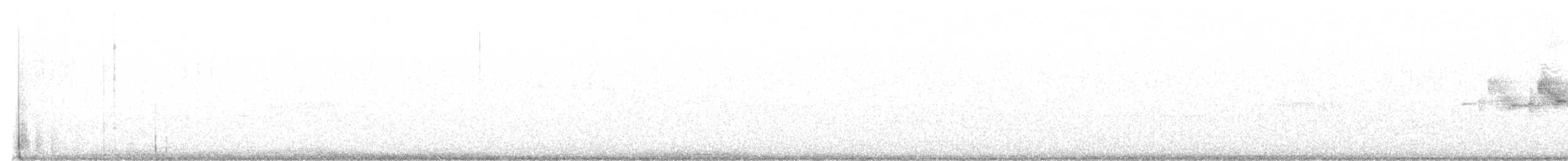 Black-throated Gray Warbler - ML556252651