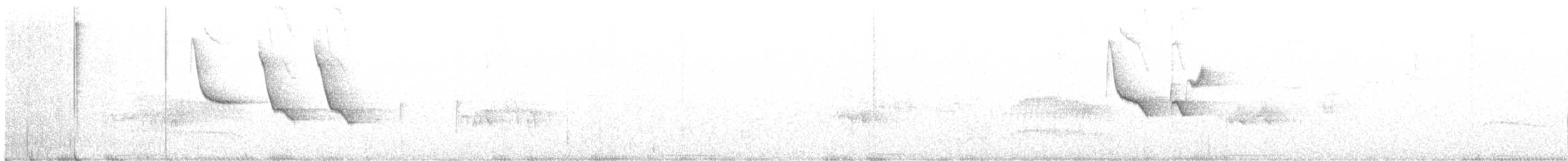 Заросляк сірогрудий - ML556259301