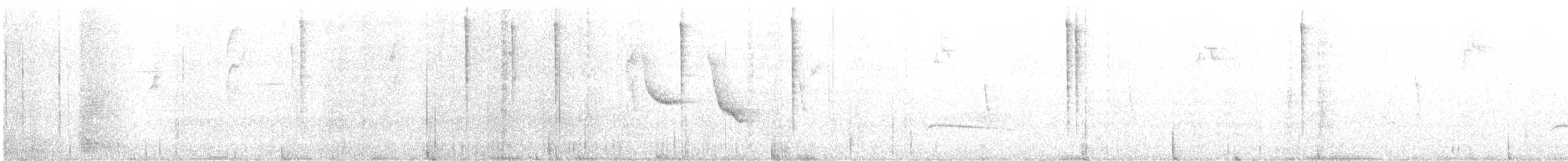 kolibřík dřišťálový - ML556259661