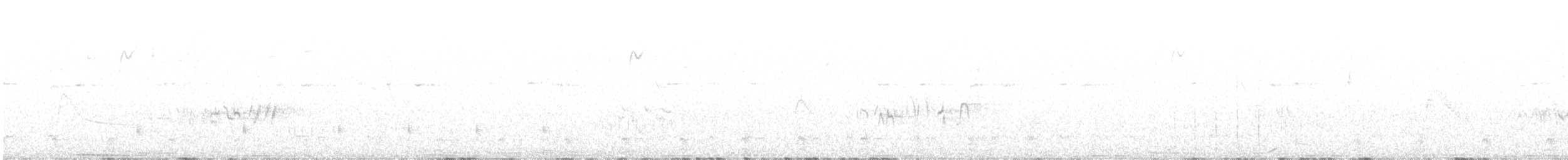 Toucanet à gorge blanche - ML556319541