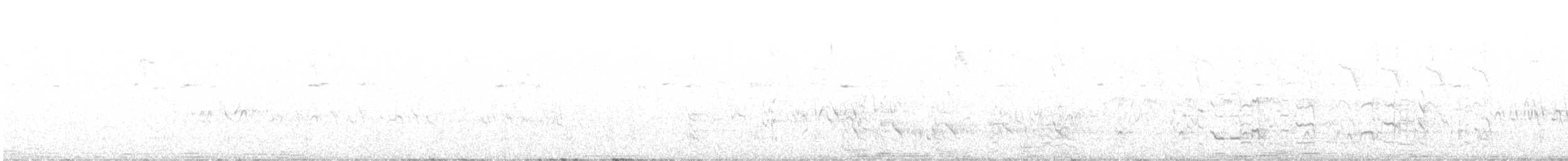 Toucanet à gorge blanche - ML556321641