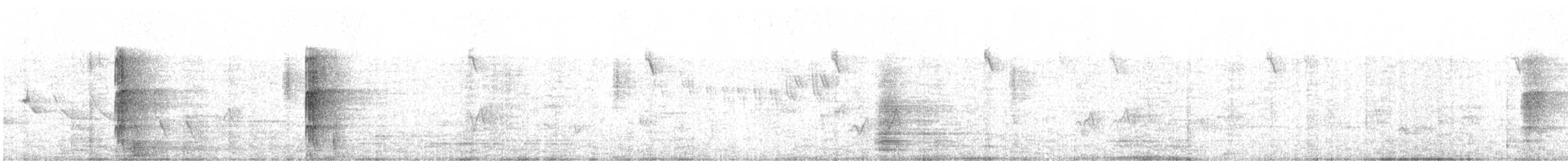 Squirrel Cuckoo - ML556331211