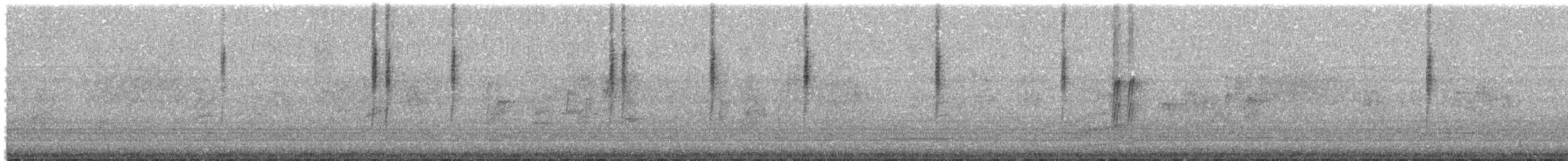 Dusky Hummingbird - ML556337551