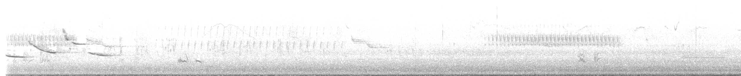 Eastern Meadowlark - ML556341401