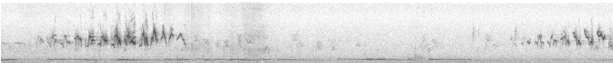 Kronenwaldsänger (coronata x auduboni) - ML556341641