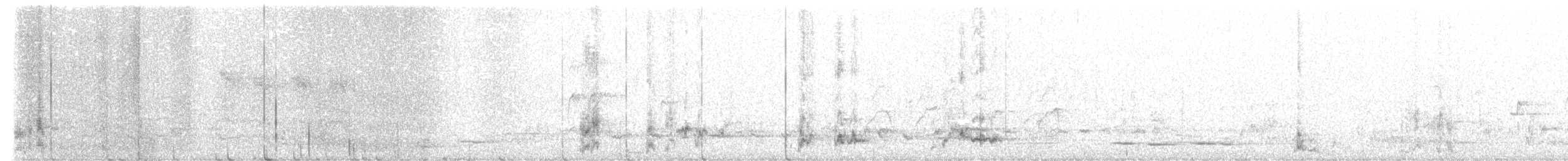 Spiny-cheeked Honeyeater - ML556347261
