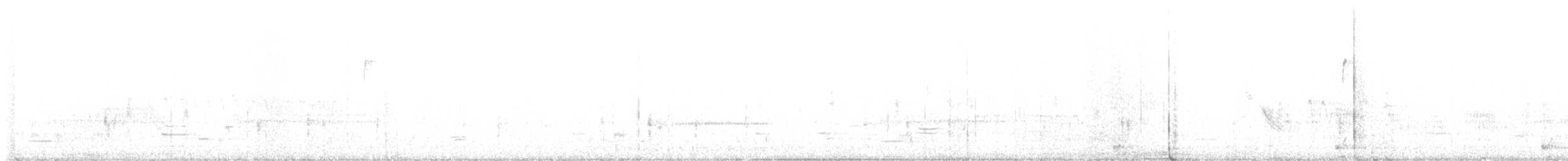Schwarzbart-Rohrdommel - ML556401391