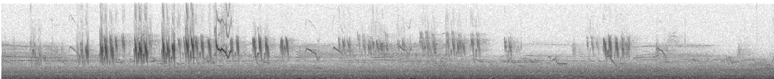 סנונית עצים - ML556419441