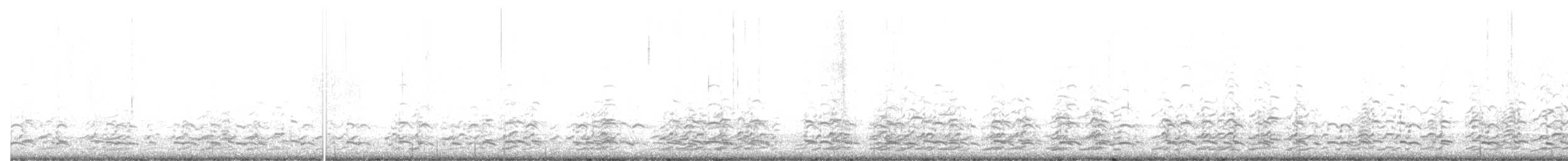 Малая канадская казарка (leucopareia) - ML556462161