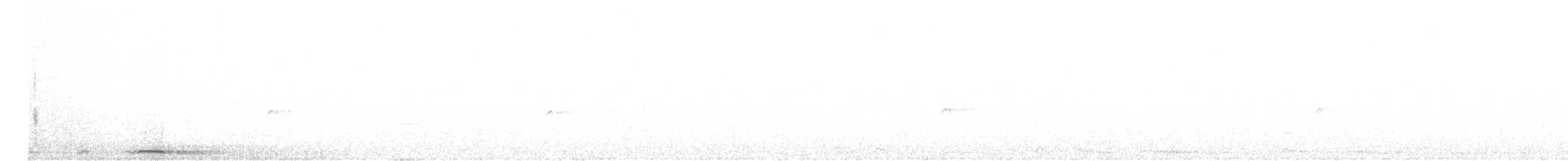 Белокрылая горлица - ML556475211