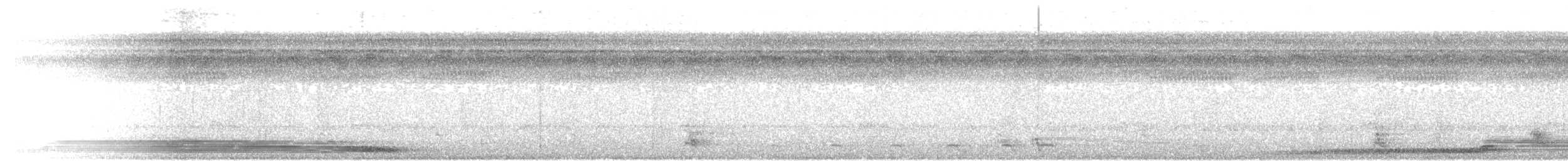 Coracine chauve - ML556518031