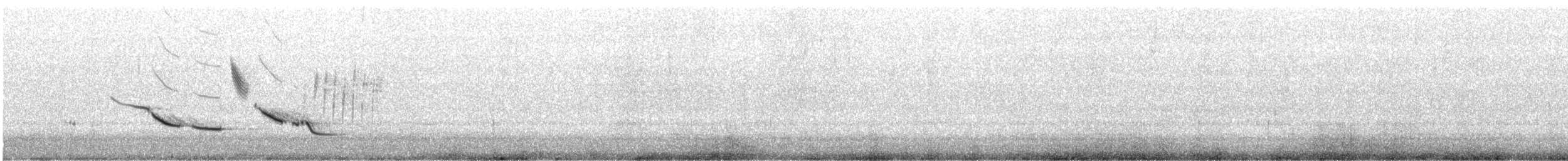 Chihuahuan Meadowlark - ML556538851