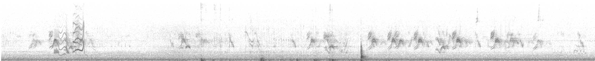 Bendire's Thrasher - ML556539861