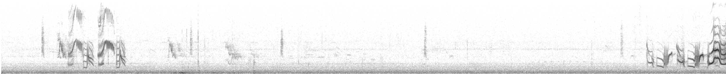 Bendire's Thrasher - ML556539911