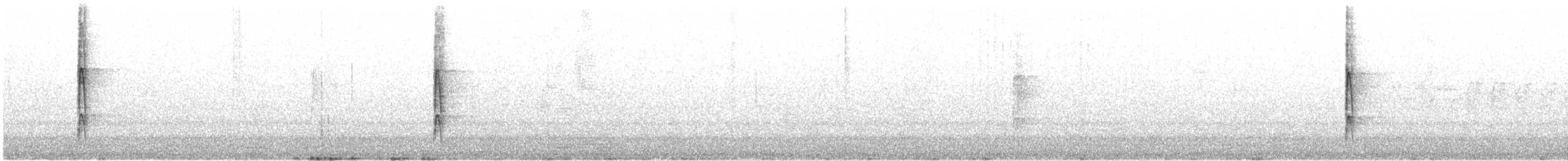 Ladder-backed Woodpecker - ML556557381