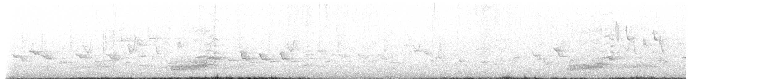Берберийский кеклик - ML556560091