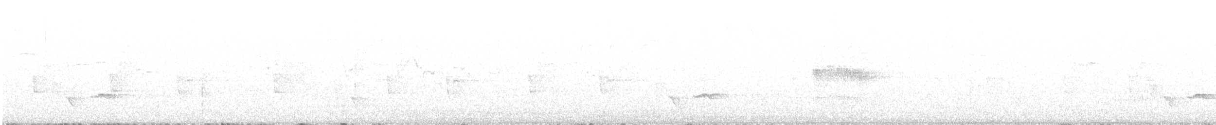 Gray-breasted Wood-Wren (Perija) - ML556678621