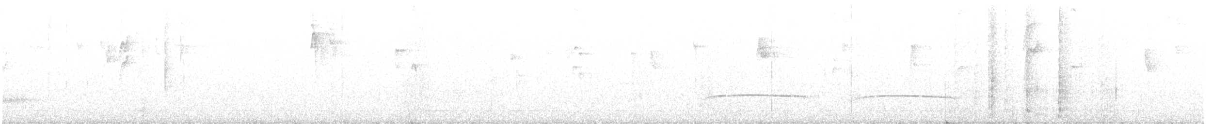 Küstenkordilleren-Kleintyrann - ML556680141