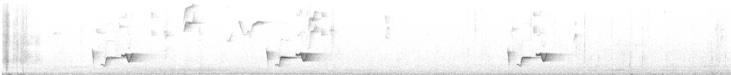 Gri Göğüslü Çıtkuşu (manastarae) - ML556683141