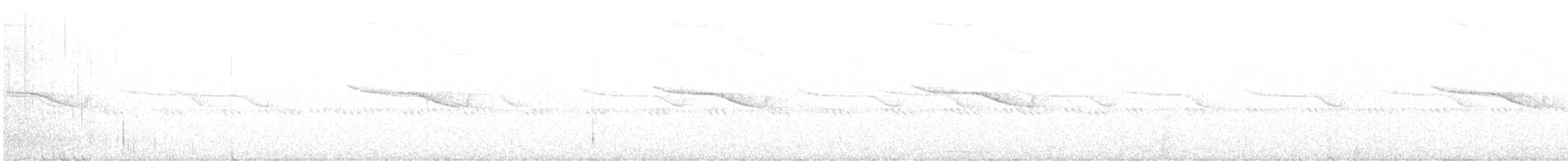 Breitspiegel-Nachtschwalbe - ML556737401