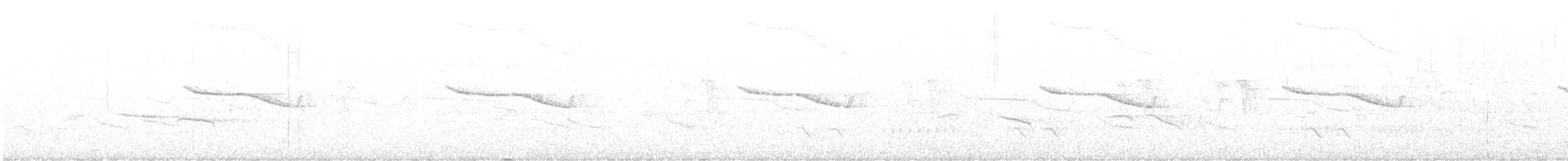 Breitspiegel-Nachtschwalbe - ML556738181