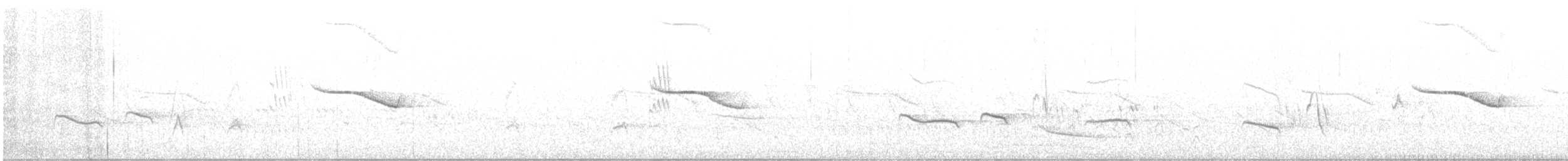 Breitspiegel-Nachtschwalbe - ML556738871