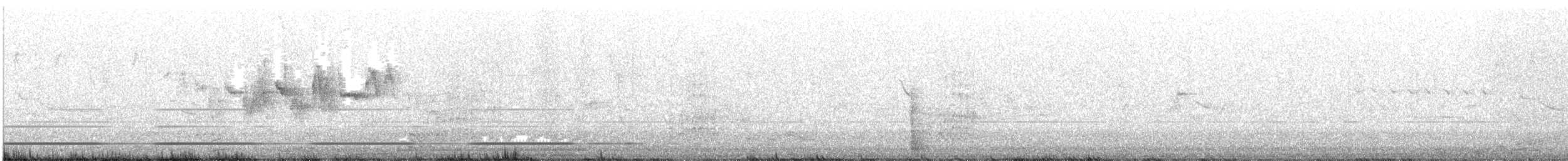 Black-throated Gray Warbler - ML556761341