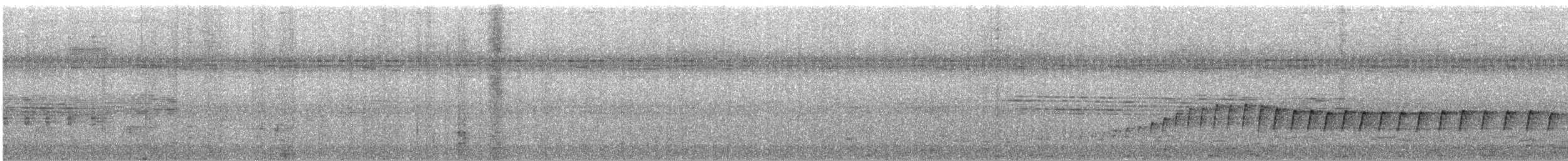 Bulbul Ojiblanco (perplexus/prillwitzi) - ML556775691