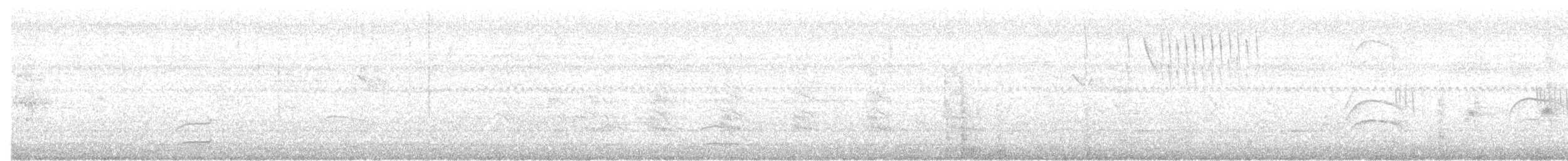 Pied Plover - ML556829481