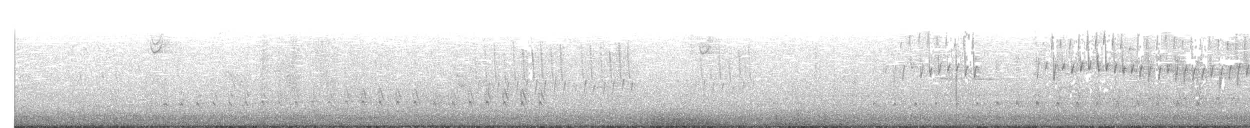 Pine Warbler - ML556868931