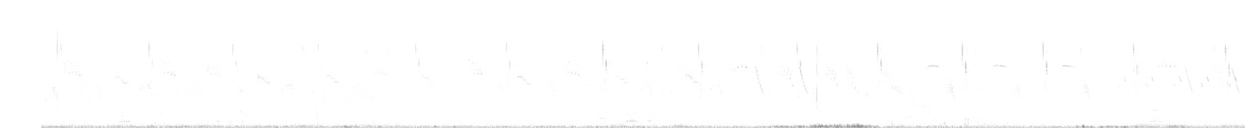 cistovník rákosníkový - ML556877351