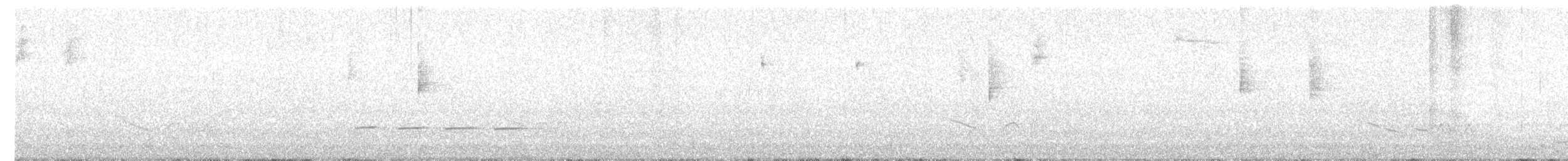 Northern Waterthrush - ML556883211