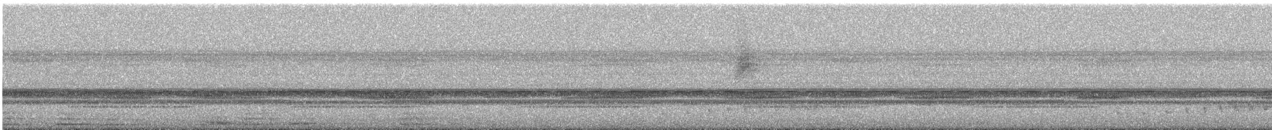 Buff-collared Nightjar - ML556931871