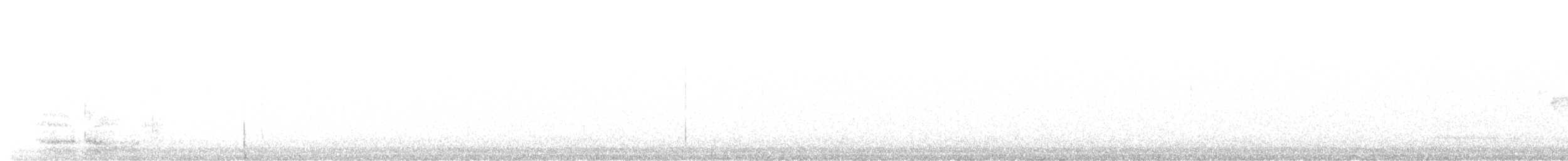 Black-throated Gray Warbler - ML556944831