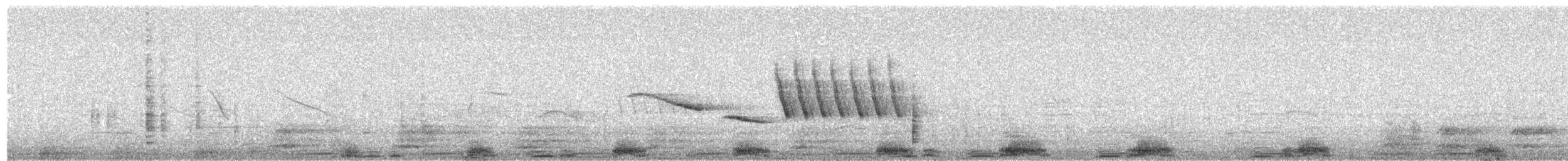 Bare-faced Ground Dove - ML556954431