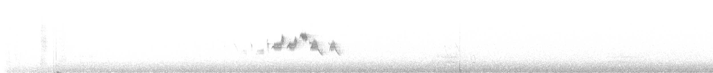 Black-throated Gray Warbler - ML556956031