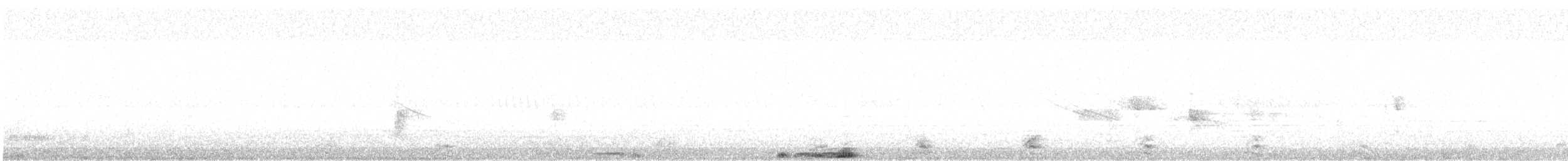 holoubek peruánský - ML556969101