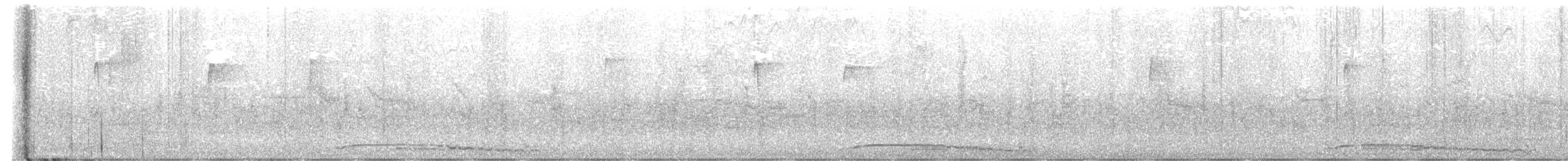 Eastern Screech-Owl - ML557100551
