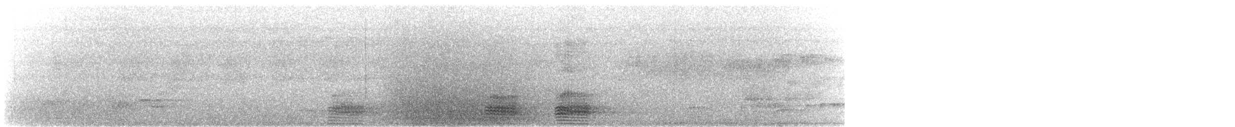 Corbeau à gros bec (groupe macrorhynchos) - ML557102491