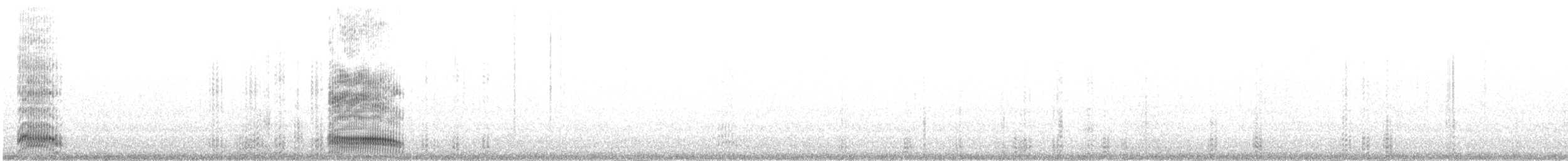 australmåke (novaehollandiae/forsteri) - ML55710851