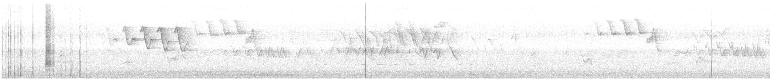 Paruline flamboyante - ML55711931