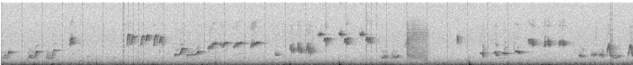 Mirlo Acuático Norteamericano - ML557119421