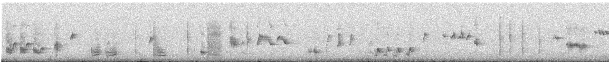 Mirlo Acuático Norteamericano - ML557119441