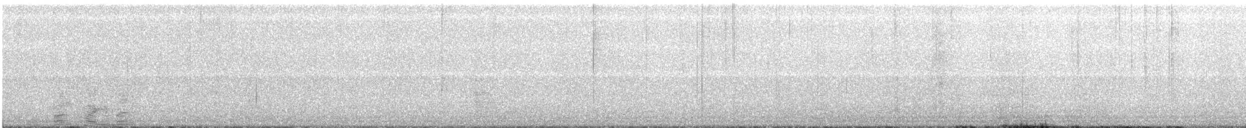 Банкивский петух (Одомашенного вида) - ML55712871