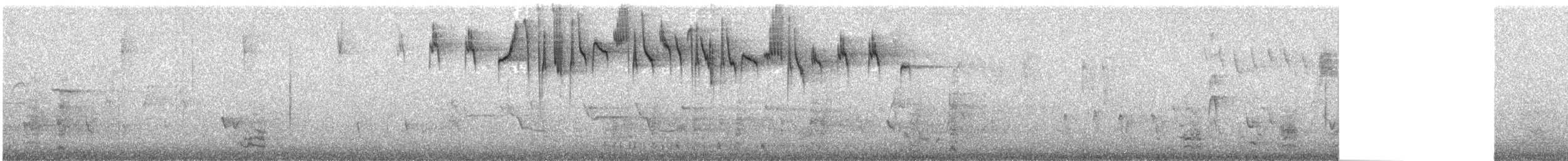 Rotstirn-Borstenschwanz - ML557147491