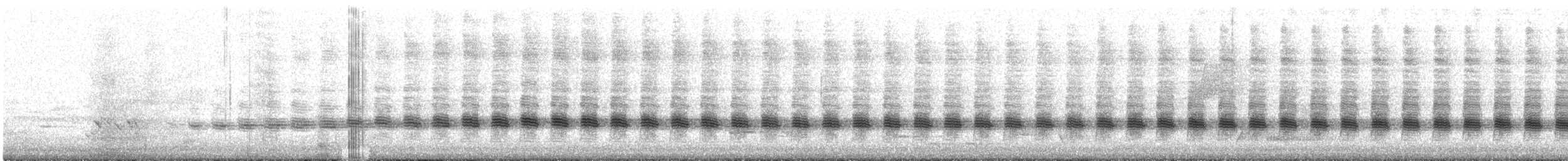 Sahul Cicadabird - ML557156881