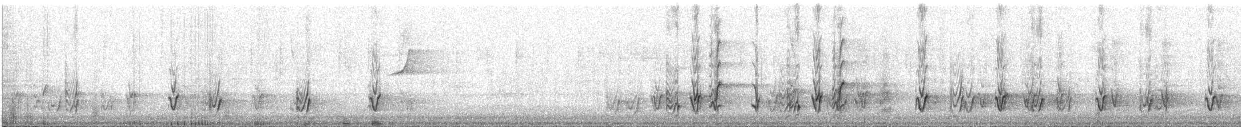 Sahul Cicadabird - ML557156931