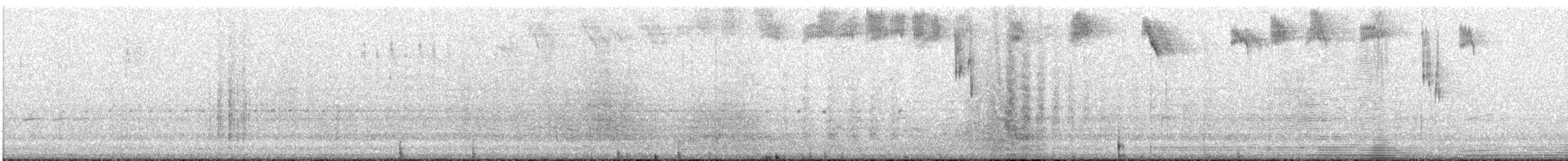 White-throated Needletail - ML557158871
