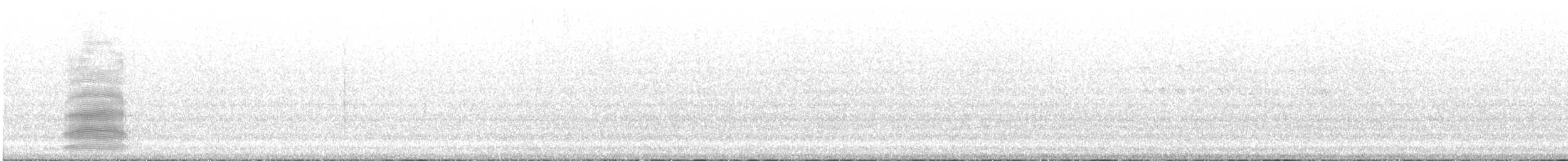 Тасманийский ворон - ML557160121