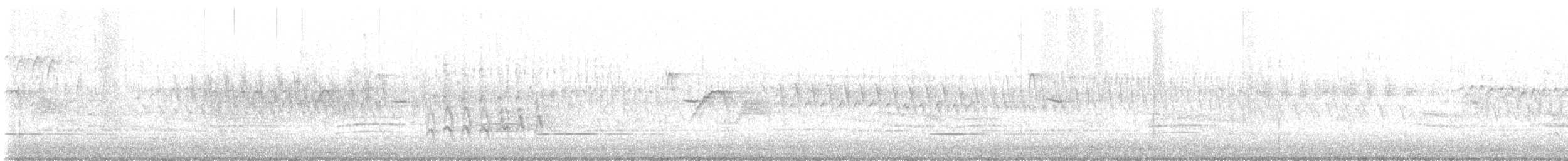 Kara Gözlü Junko (hyemalis/carolinensis) - ML557187881